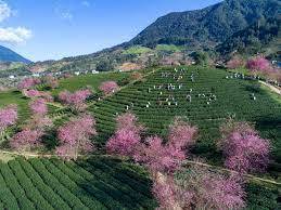 hành trình Sapa tháng 12 nên đi chơi ở đâu? - Ảnh 1 hành trình Sapa tháng 12 nên đi chơi ở đâu? - Ảnh 1